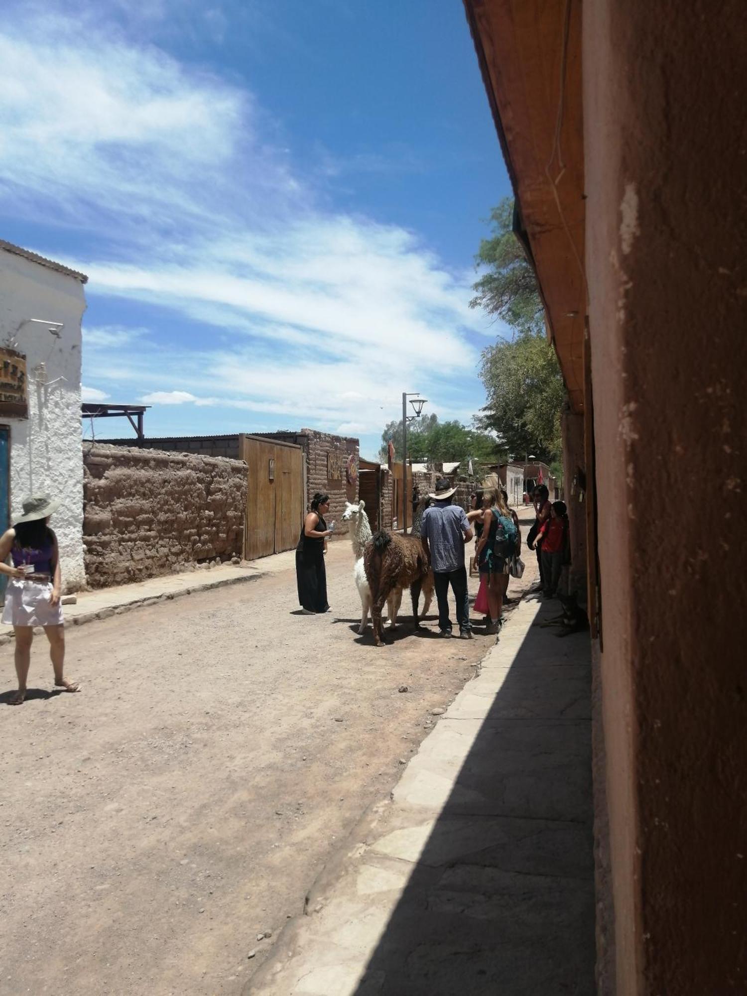 Viajes & Vida Km0 Apartment San Pedro de Atacama Ngoại thất bức ảnh